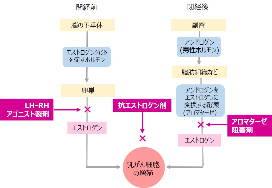 ホルモン療法の方法